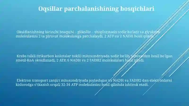 Ochlikda karbonsuvlar, yog‘lar va oqsillarning buzulishi 3
