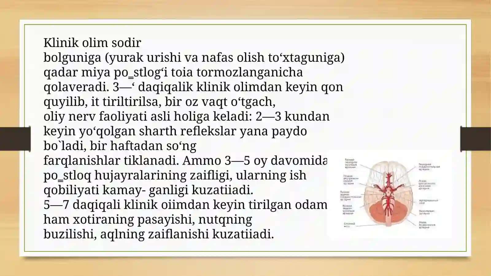 Gormonlargninnerv faoliyatini tasiri va qon bilan taminlanishi 3