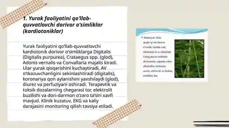 Yurak-qon tomir va asab kasalliklarida qoʻllaniladigan dorivor oʻsimliklar 3