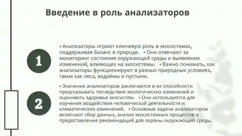 Введение в роль анализаторов 3