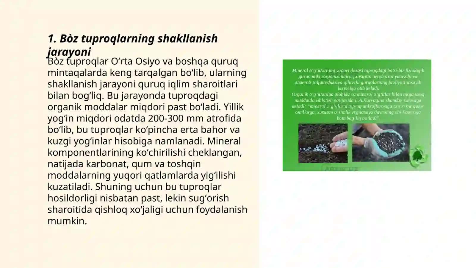 Bòz tuproqlar mintaqasi tiproqlari 3