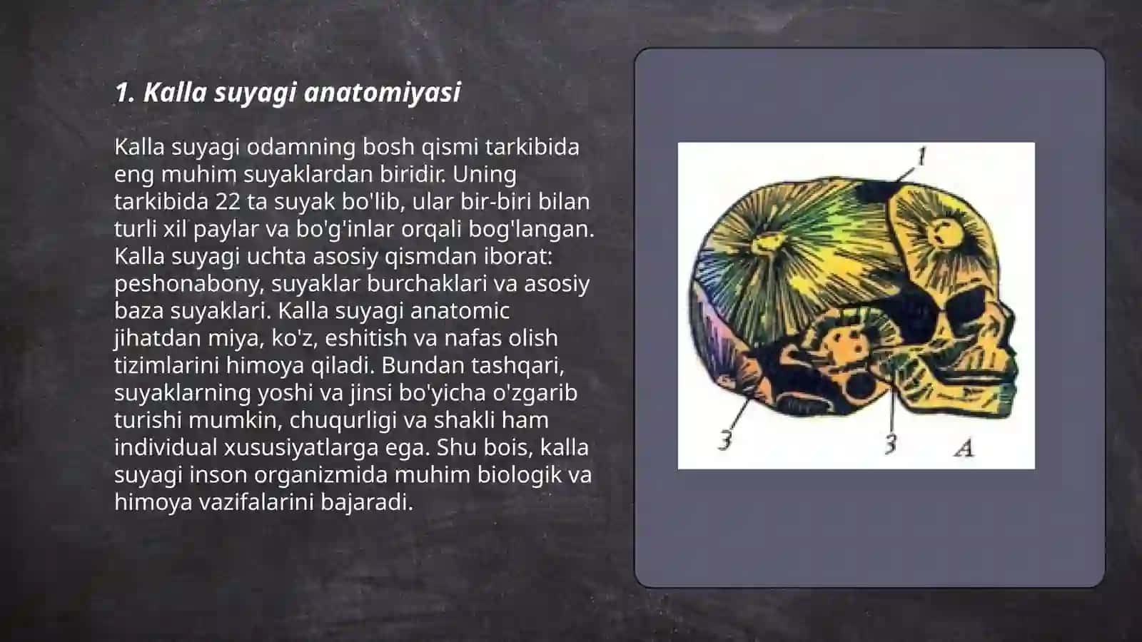 Kalla suyagi 3