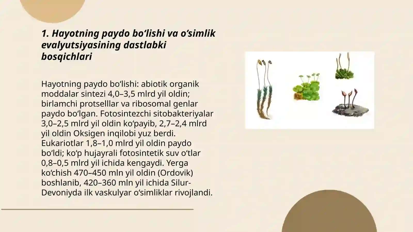 O’simlik evalyutsiyasi va tirik tabiatning tarixiy jarayonda paydo bo’lishi 3