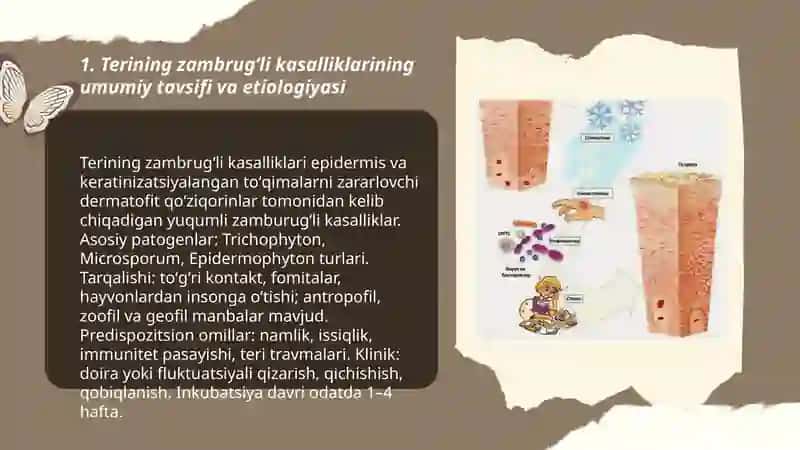 Terining zambrugʻli kasalliklari 3