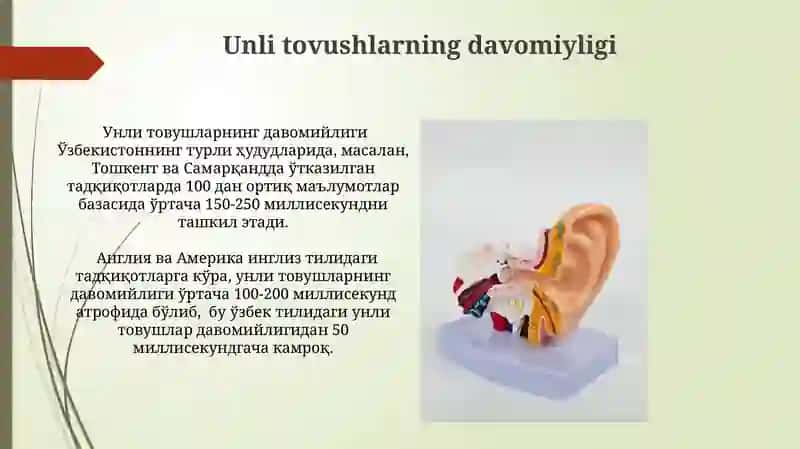 Unli tovushlarning akustik va artikulyatsion xususiyatlari 3