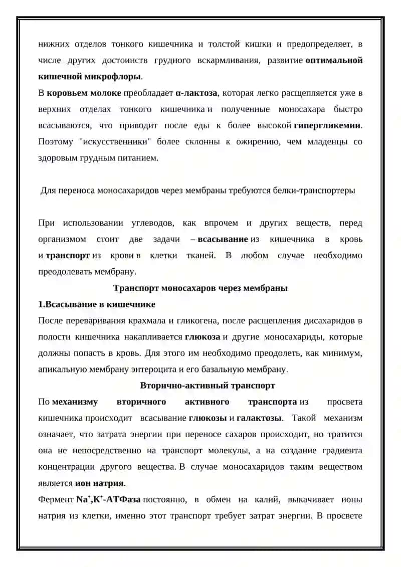 Переваривание и всасывание углеводов 3