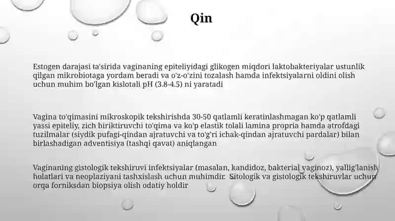 Ayollar jinsiy Sistemasi Gistologiyasi 3