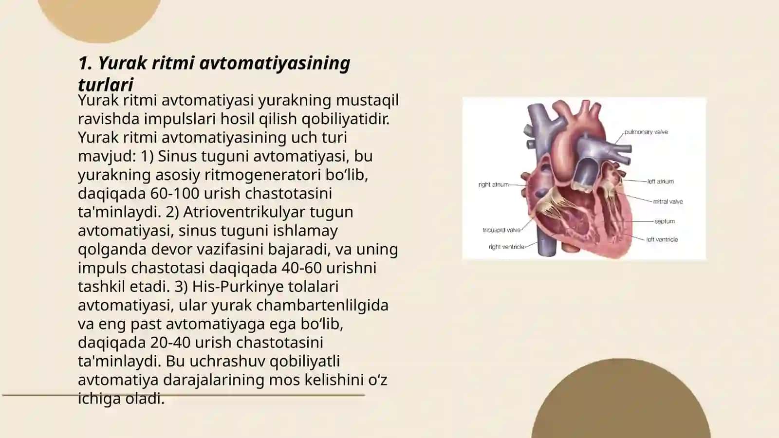 Yurak avtomatiyasi 3