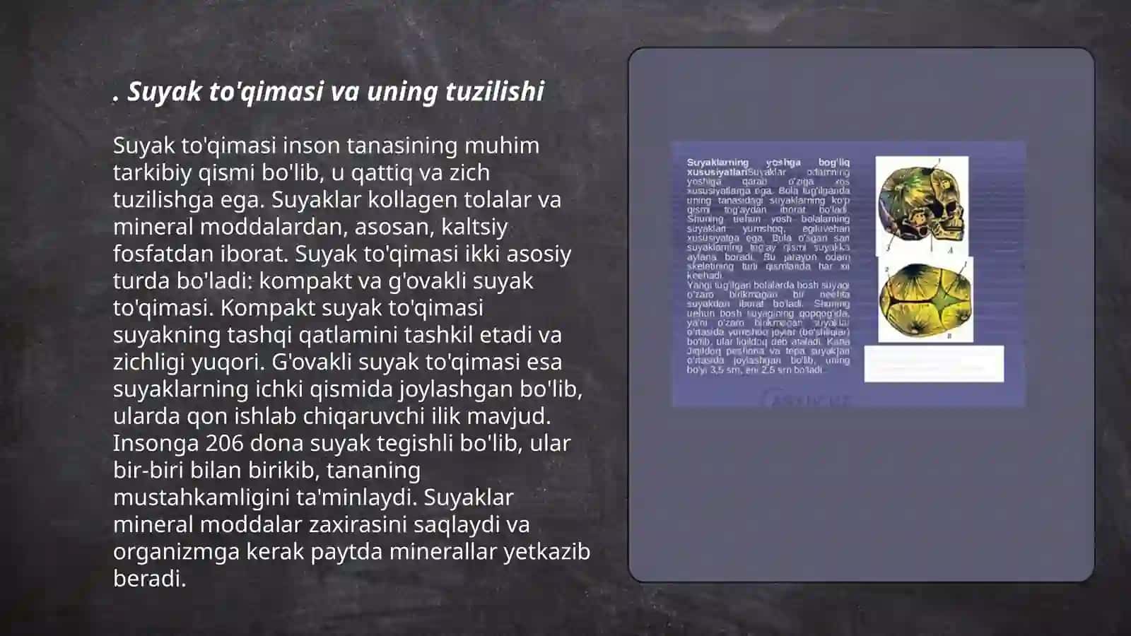 Organizmdagi suyaklarning tuzilishi 3