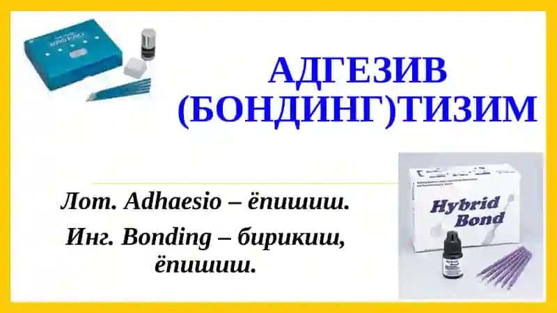 Адгезив тизим 3