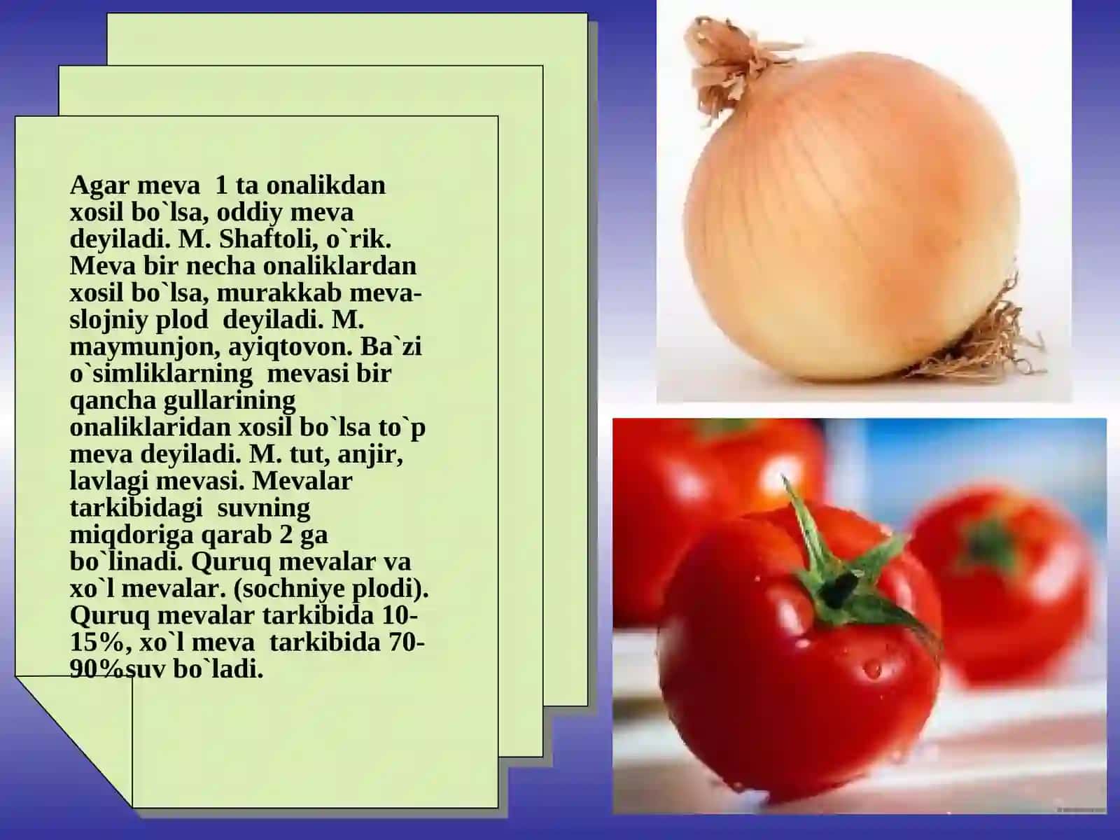 MEVANING VUJUDGA KELISHI, TUZULISHI, RIVOJLANISHI VA KLASIFIKATSIYASI 3