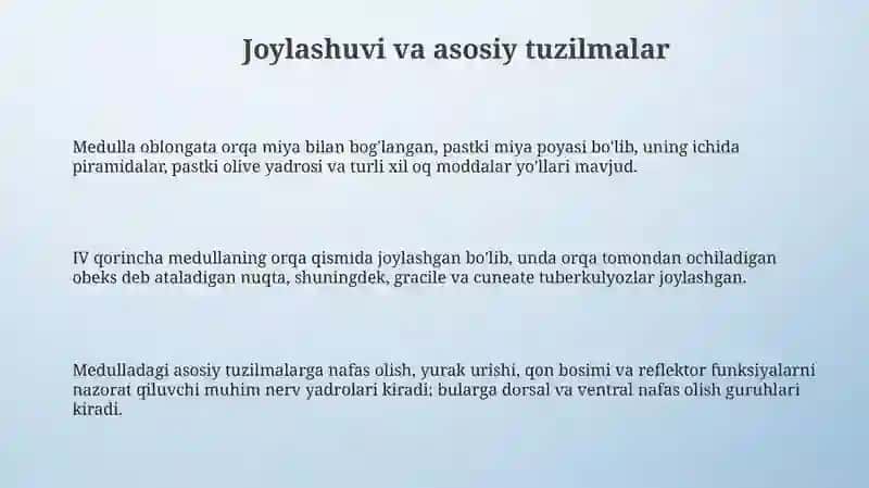 Orqa miya oʻzaklari joylashuvi va ahamiyati 3