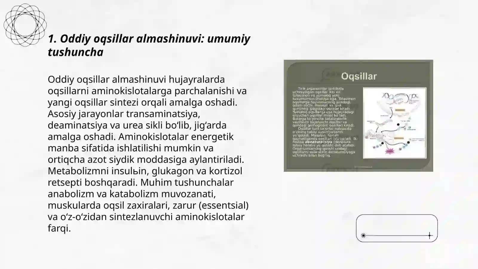 Oddiy oqsillar almashinuvi 3