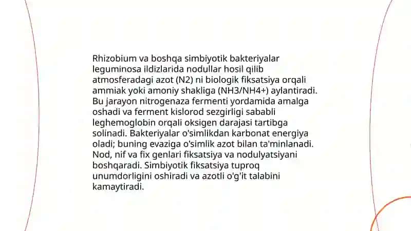Azotning tabiatda aylanishi va mikroorganizmlarni roli 3