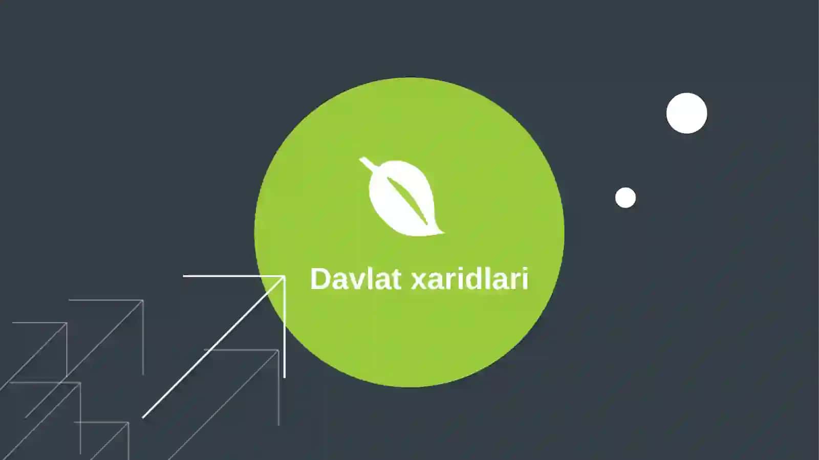 Davlat xaridini tashkil etish tamoyillari, Davlat xaridlari jarayoniga doir umuiy talablar 3