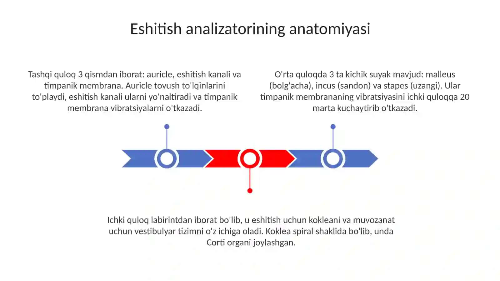 Eshituv va vestibulyar analizatorlar fiziologiyasi 3