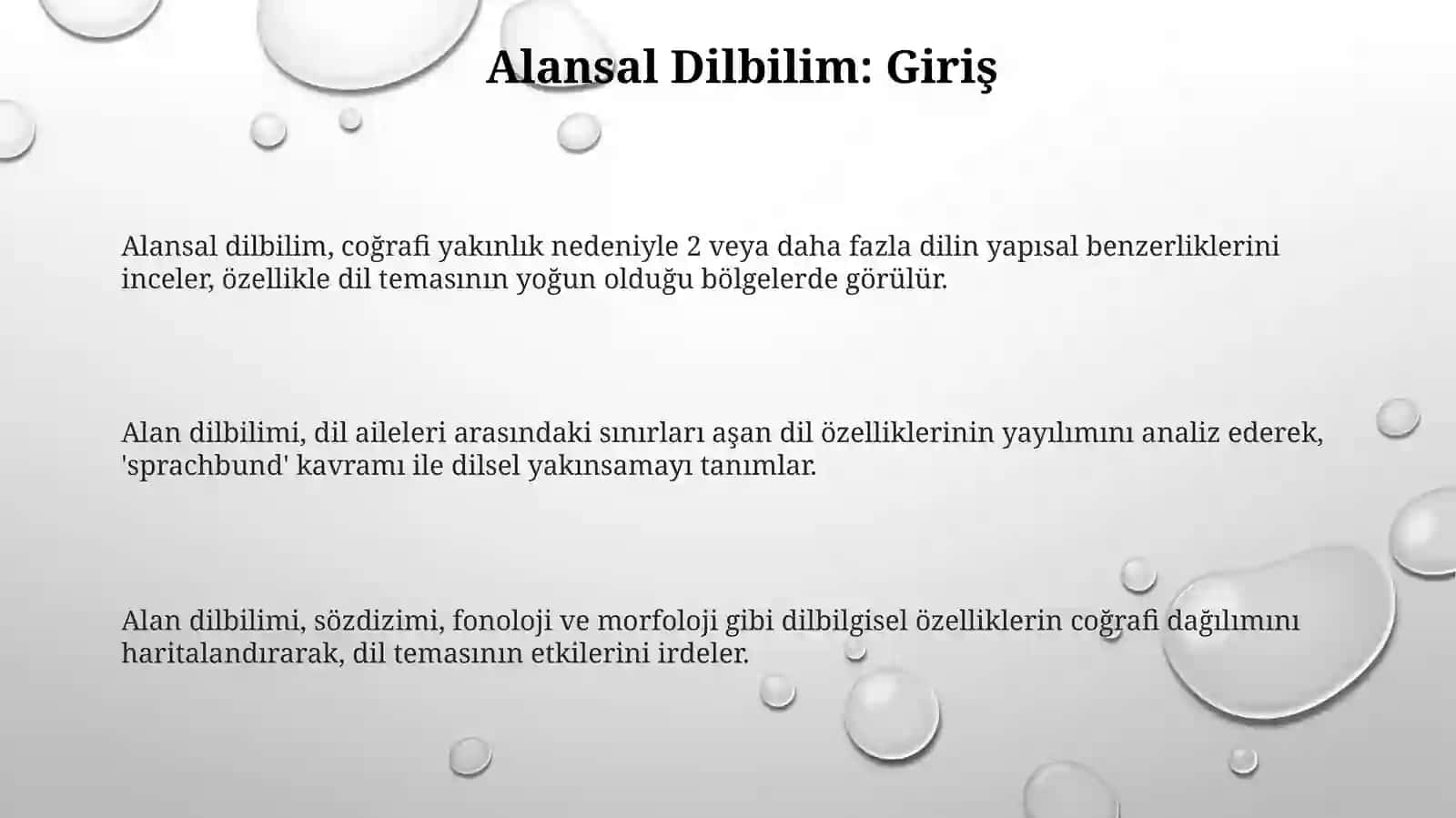 Areal lingvistika 3