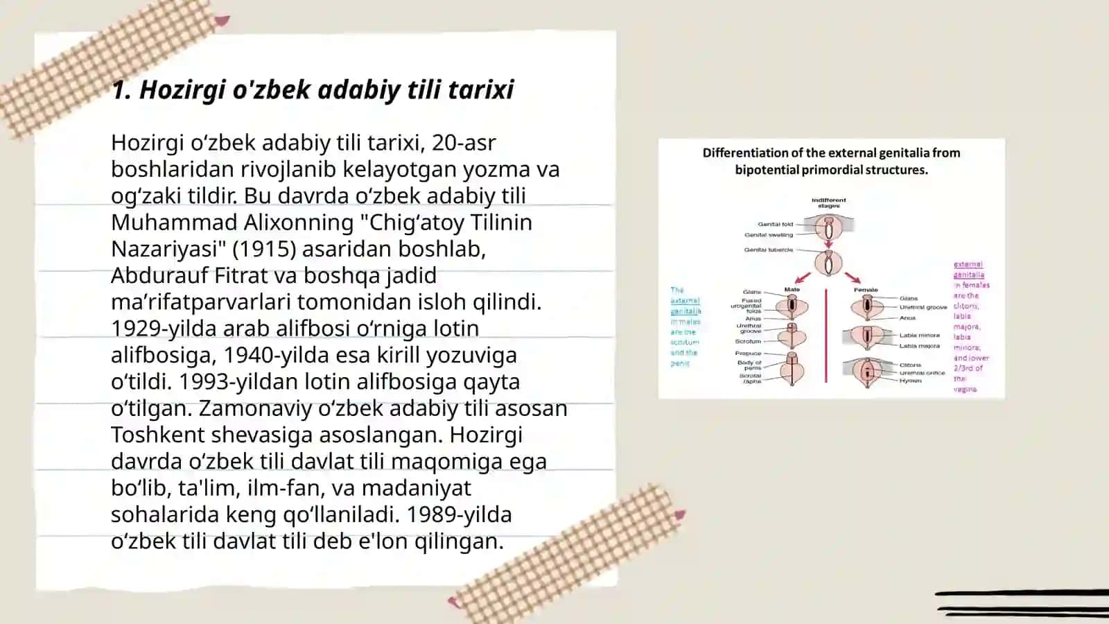 Hozirgi o'zbek adabiy tili va uning shevalari bilan munosabat qamrovi va xususiyatlari 3