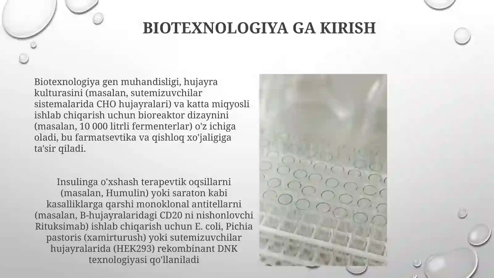 Oqsilvaantibiotiklar ishlab chiqarish biotexnologiyasi 3