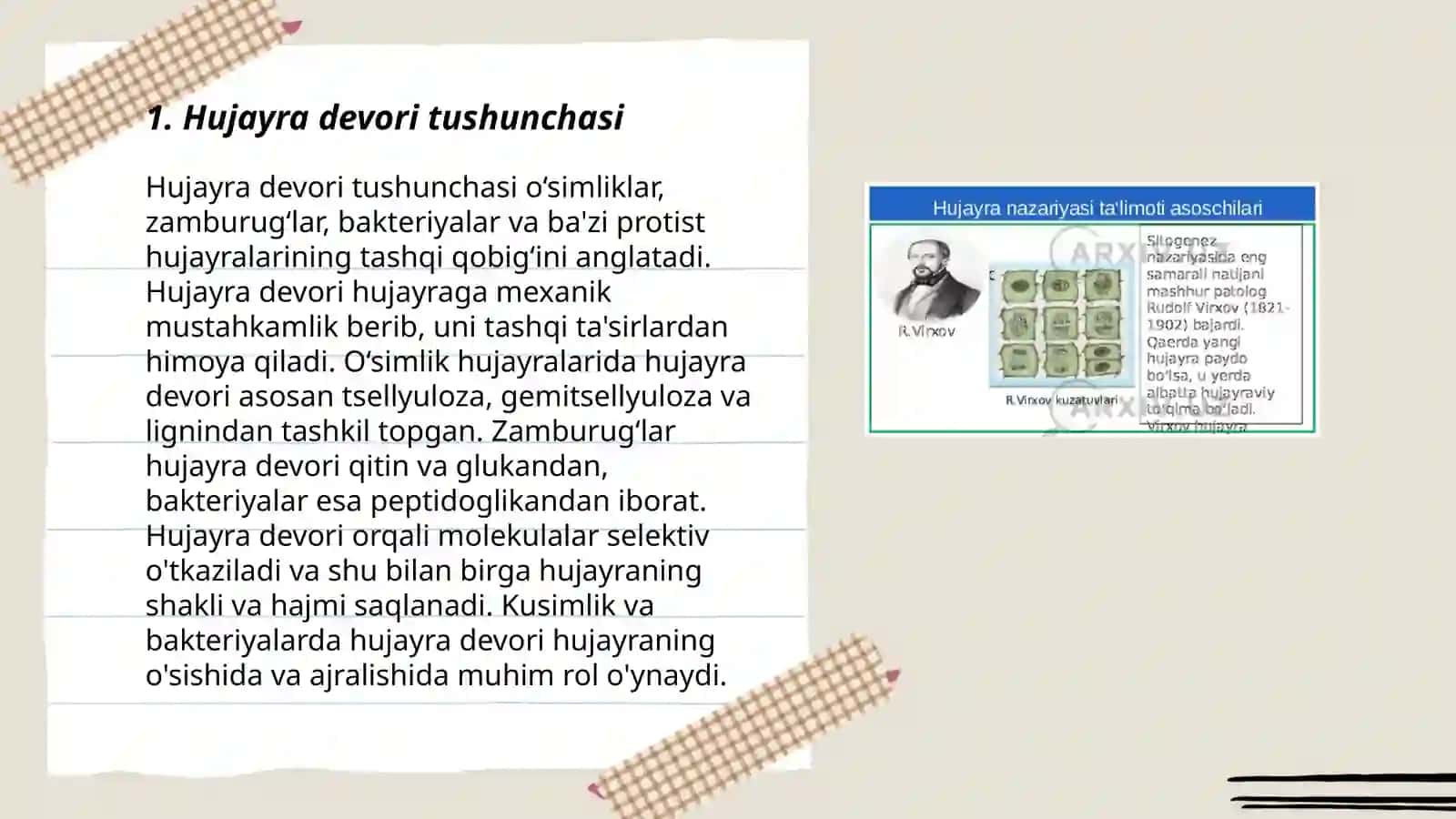 Hujayra va organellalarning morfologik jihatdan tuzilmaviy asosi 3