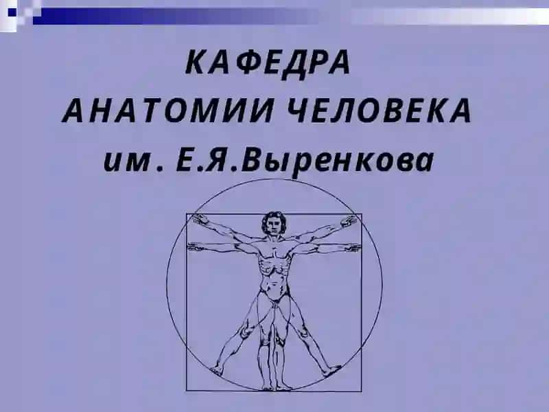 ВВЕДЕНИЕ В АНАТОМИЮ 3