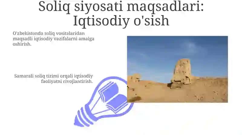 Soliq siyosati, maqsadlari, vositalari 3