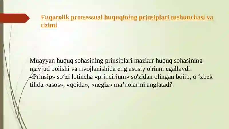 FUQAROLIK PROTSESSUAL HUQUQINING PRINSIPLARI 3