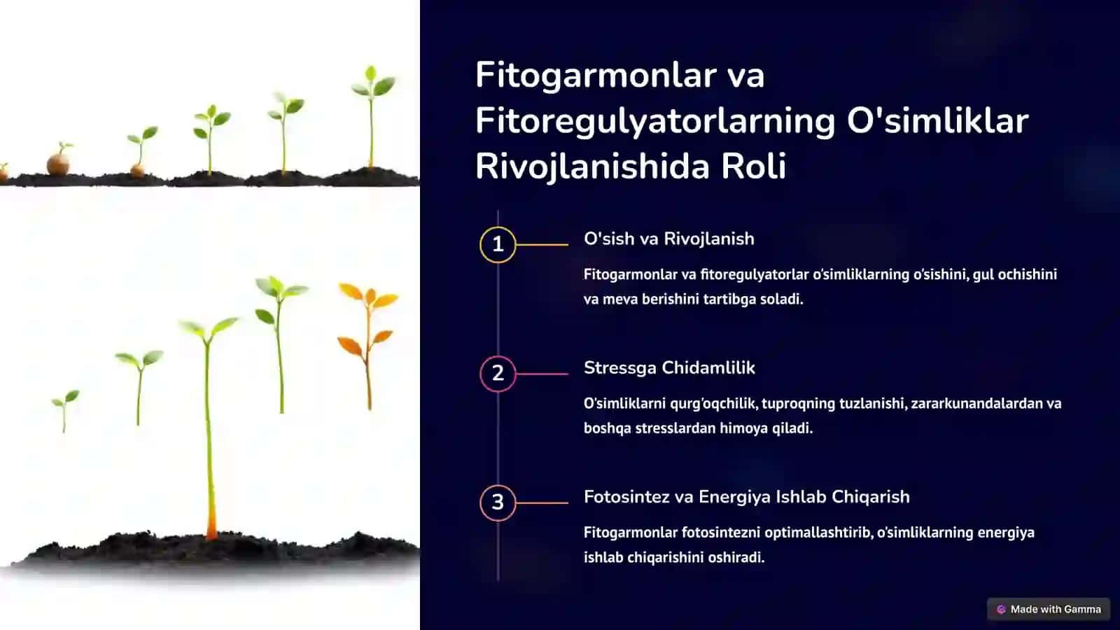 Fitogarmonlar va Fitoregulyatorlarni Olishning Biotexnologik Usullari 3
