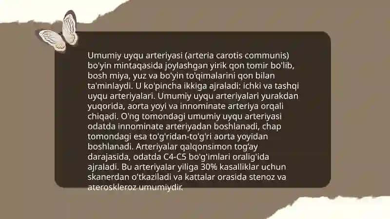 Umumiy uyqu arteriyasi anevrizmalari va ularda operatsiyalar texnikasi 3