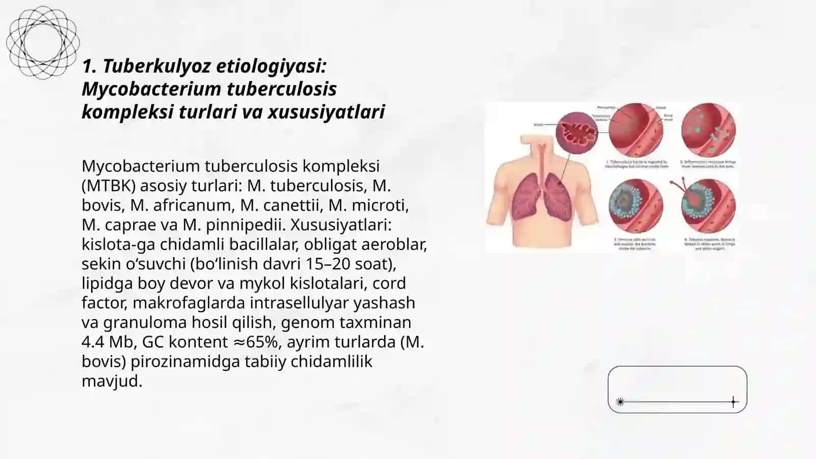 Tuberkulyoz etiologiyasi, tuberkulyoz mikobakteriyasining dorilarga chidamlilik turi 3