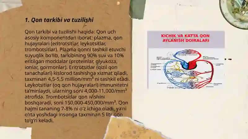 Qon fiziologiyasi 3