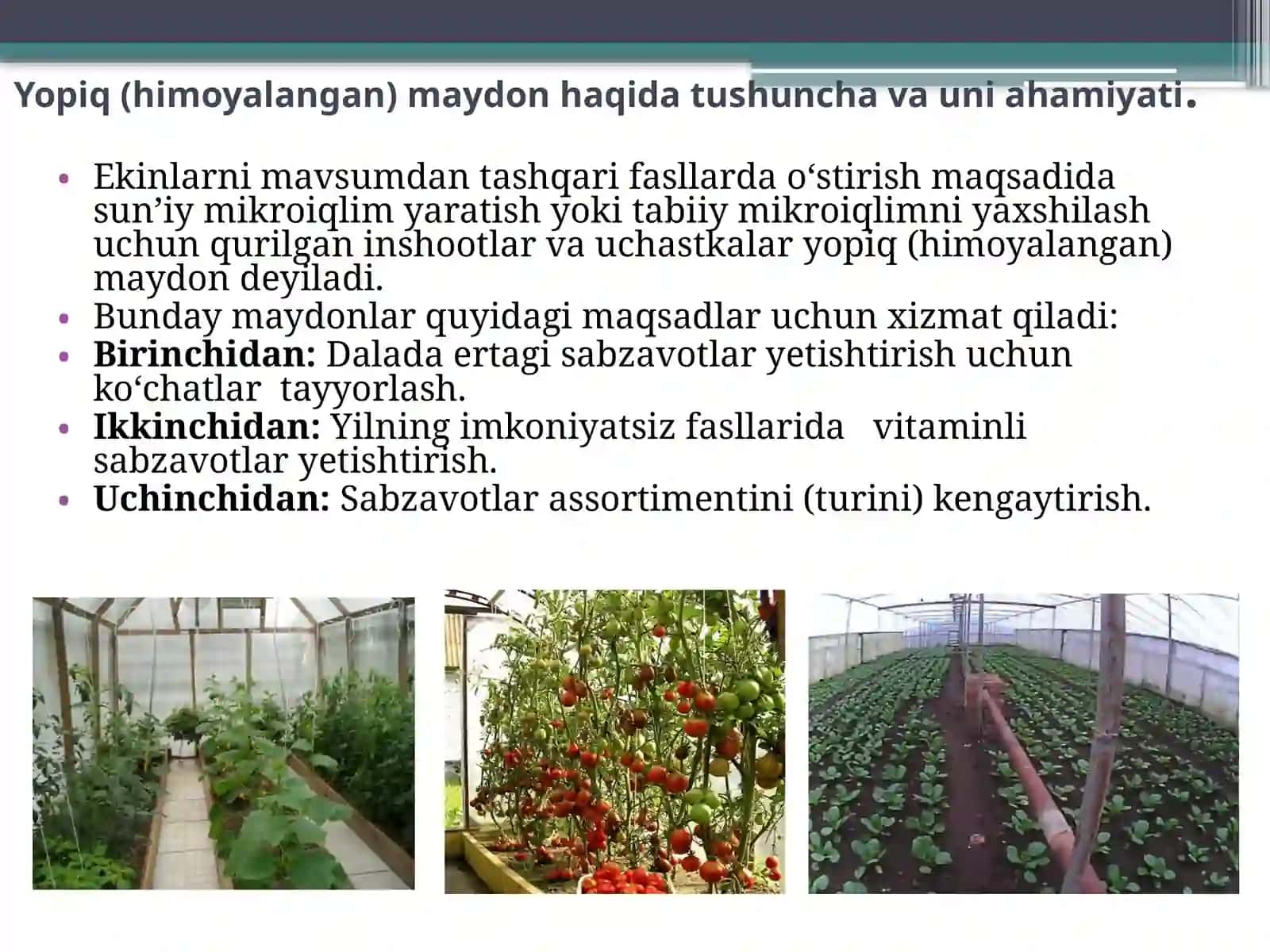 HIMOYALANGAN YER INSHOOTLARI TURLARI, TUZILISHI VA VAZIFALARI 3