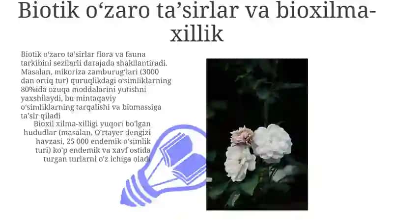 Quruqlikning floristik faunistik va biotik regionlari 3