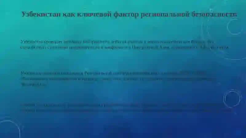 Роль Узбекистана в обеспечении региональной безопасности 3