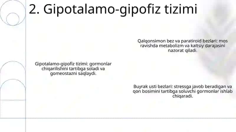 Ichki Sekretsiya Bezlari Fiziologiyasi 3