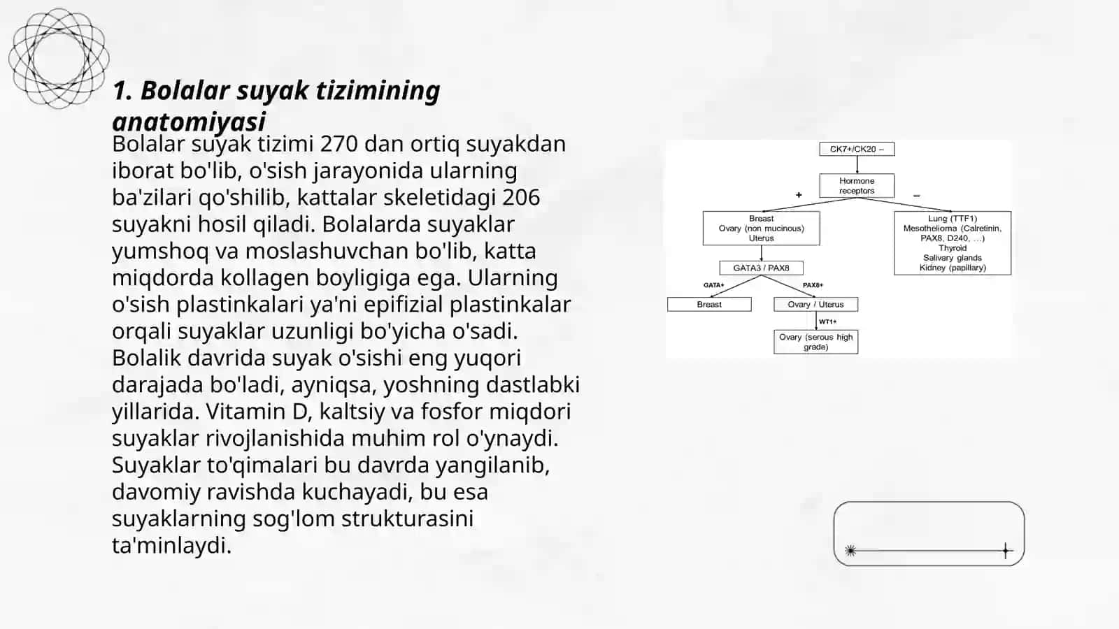 Bolalarda suyak tizimini anatomo-fiziologik hususiyatlari 3