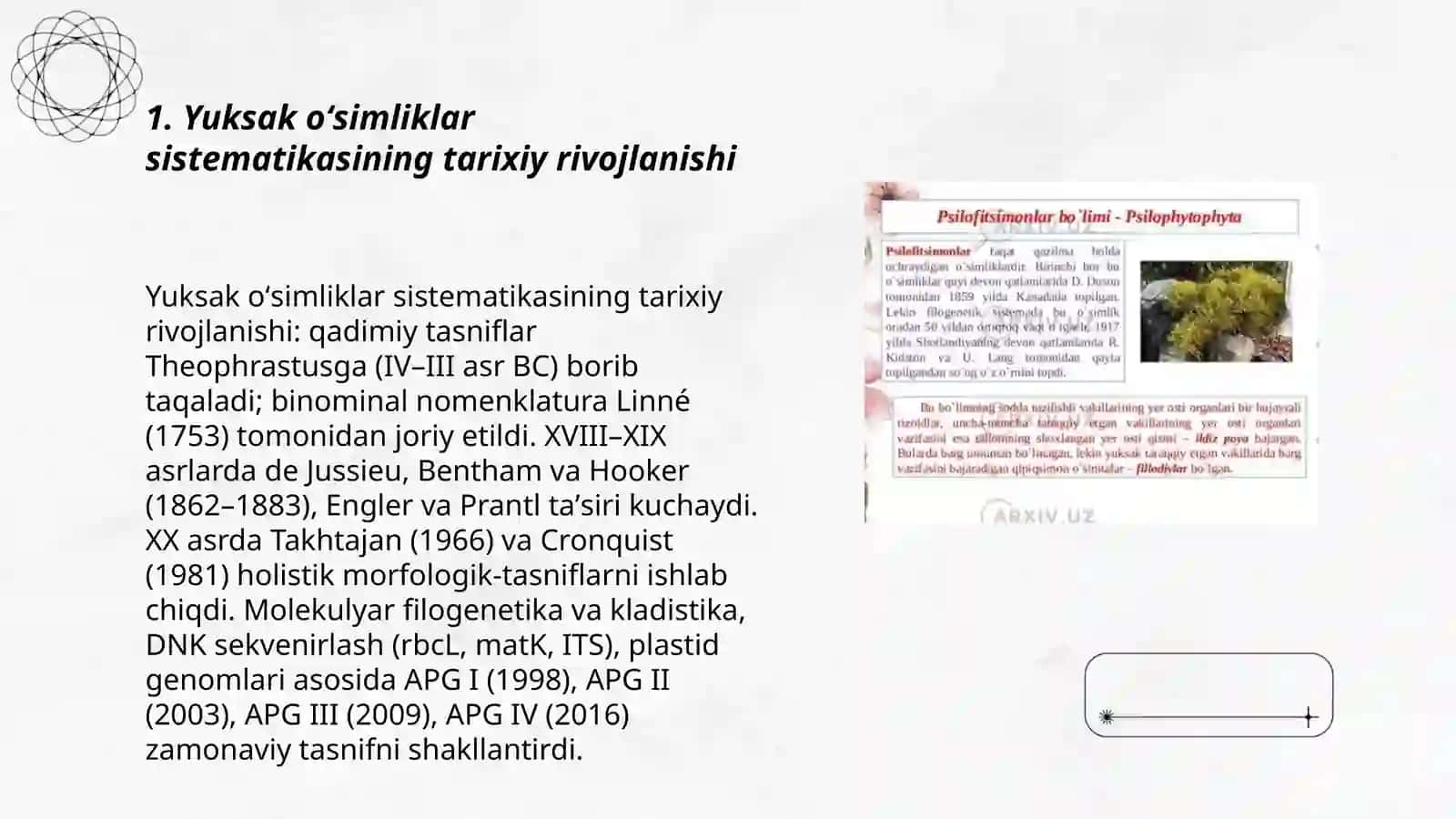 Yuksak oʻsimliklarning zamonaviy sistematikasi 3