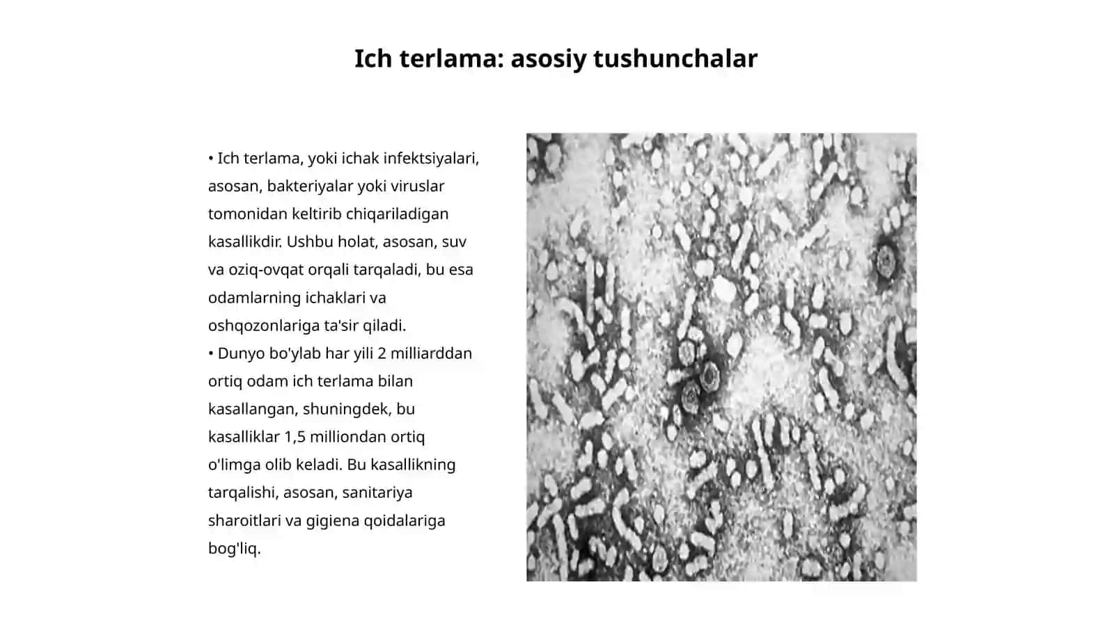 Ich terlama va paratif A va B Epidemiologiya fanidan 3