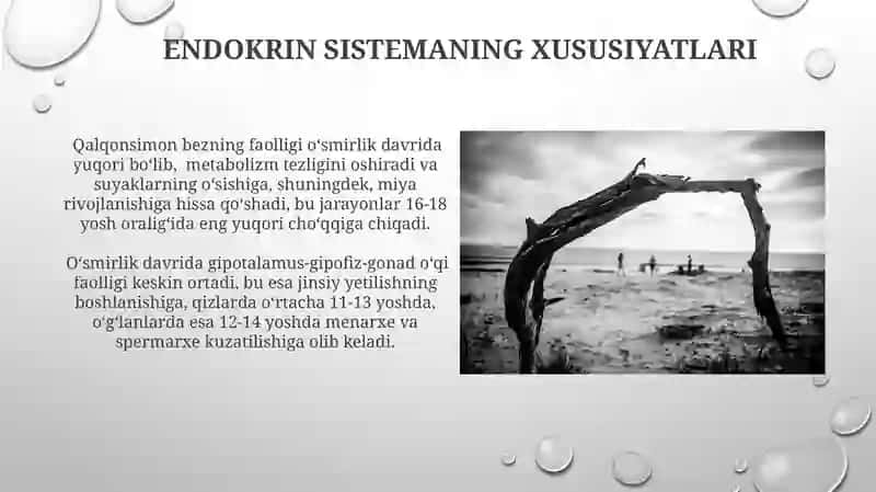 Yoshlik davrining morfologik va fiziologik xususiyatlari 3