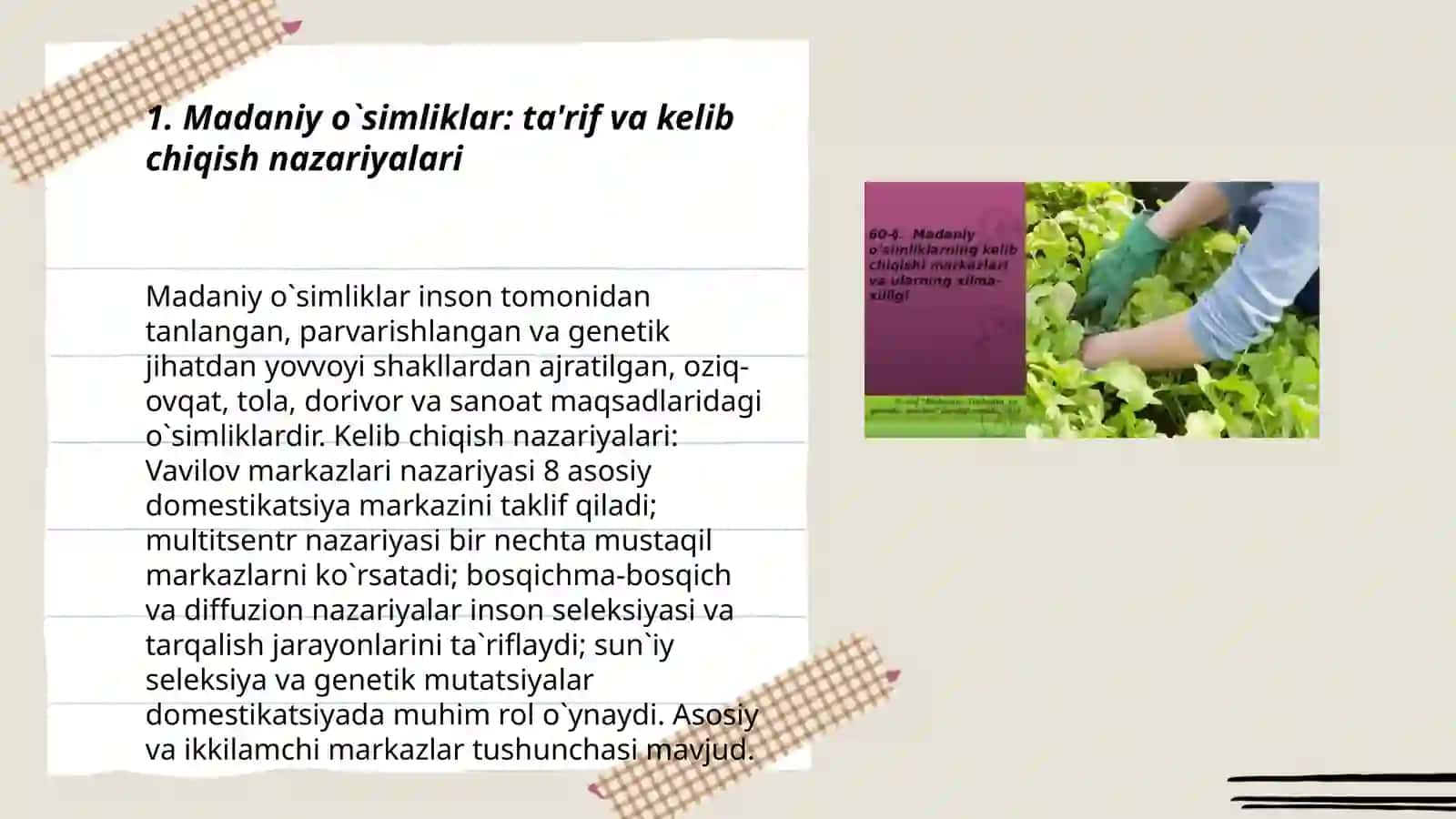 Madaniy o`simliklar: ta'rif va kelib chiqish nazariyalari 3
