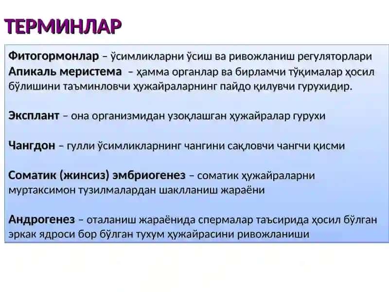 O‘simliklar gen muxandisligi. Transgen o'simliklar yaratish tehnologiyasi. 3