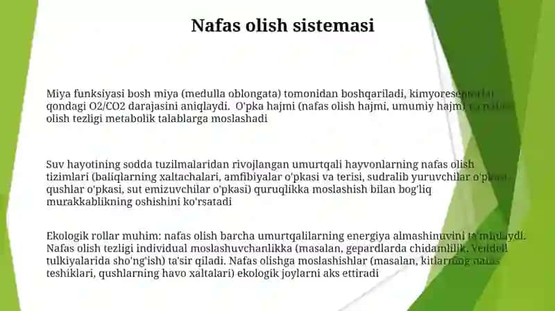 Umurtqali Hayvon Anatomiyasi va Fiziologiyasi 3