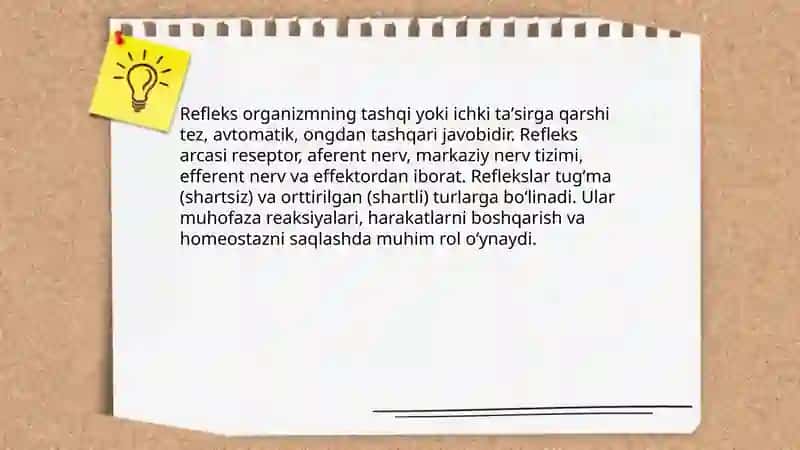 Reflekslar haqida tushuncha 3