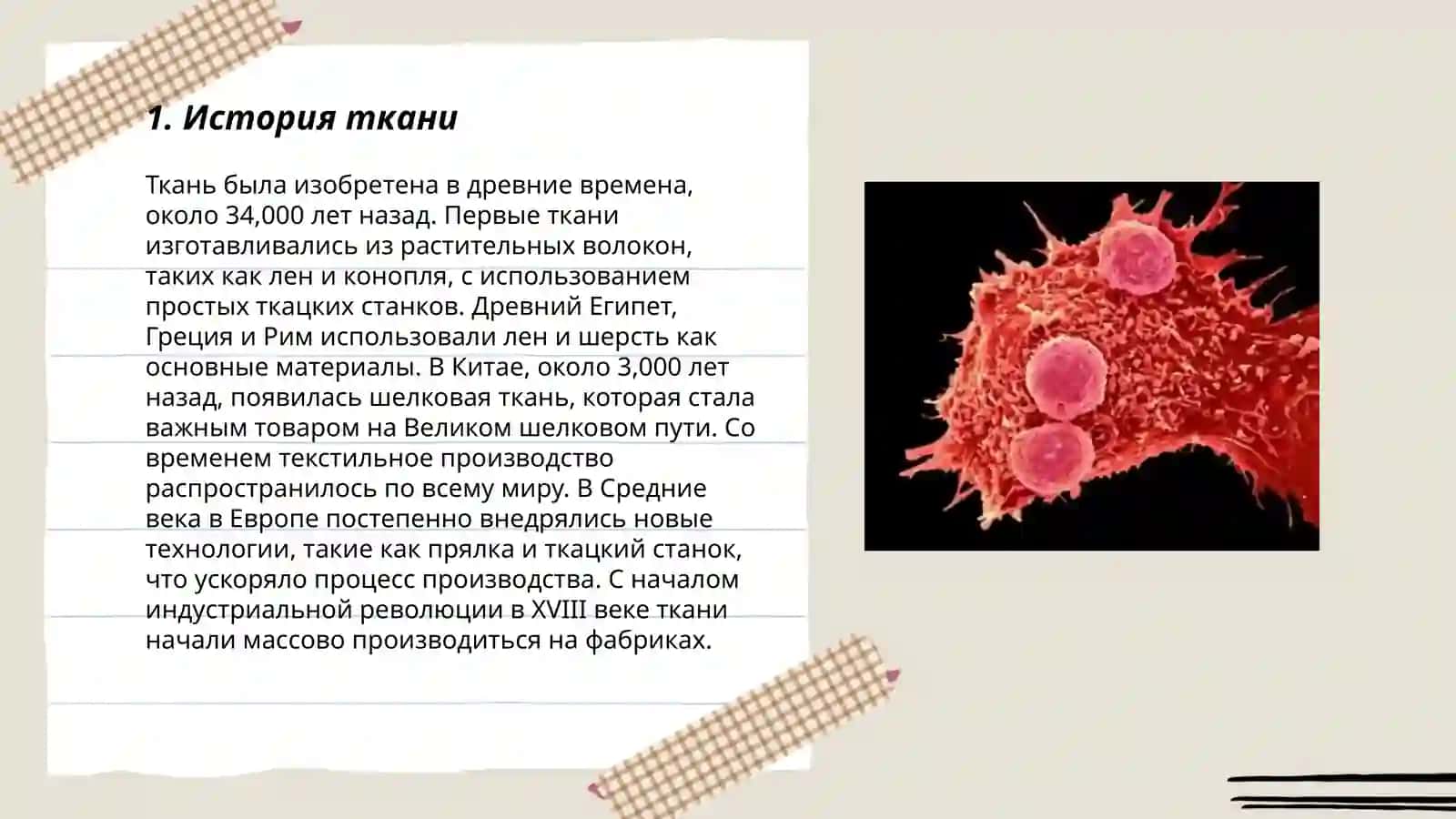 История ткани 3