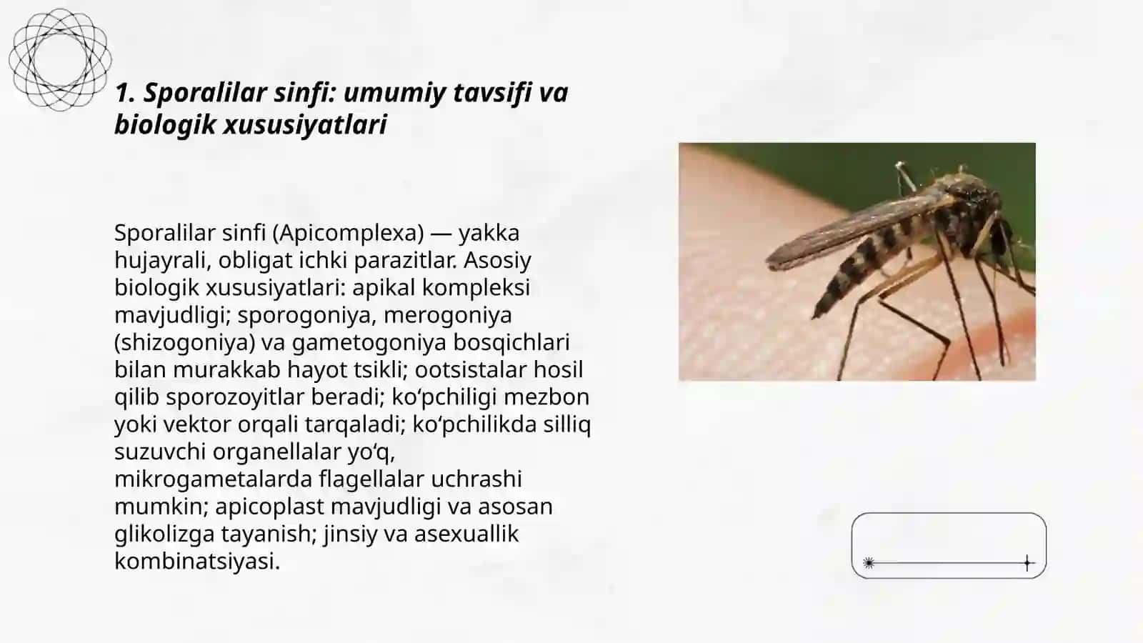 Sporalilar – bezgak plazmodiysi. Toksoplazma. Odam ichak parazitlari, dizenteriya  amyobasi, balantidiy 3