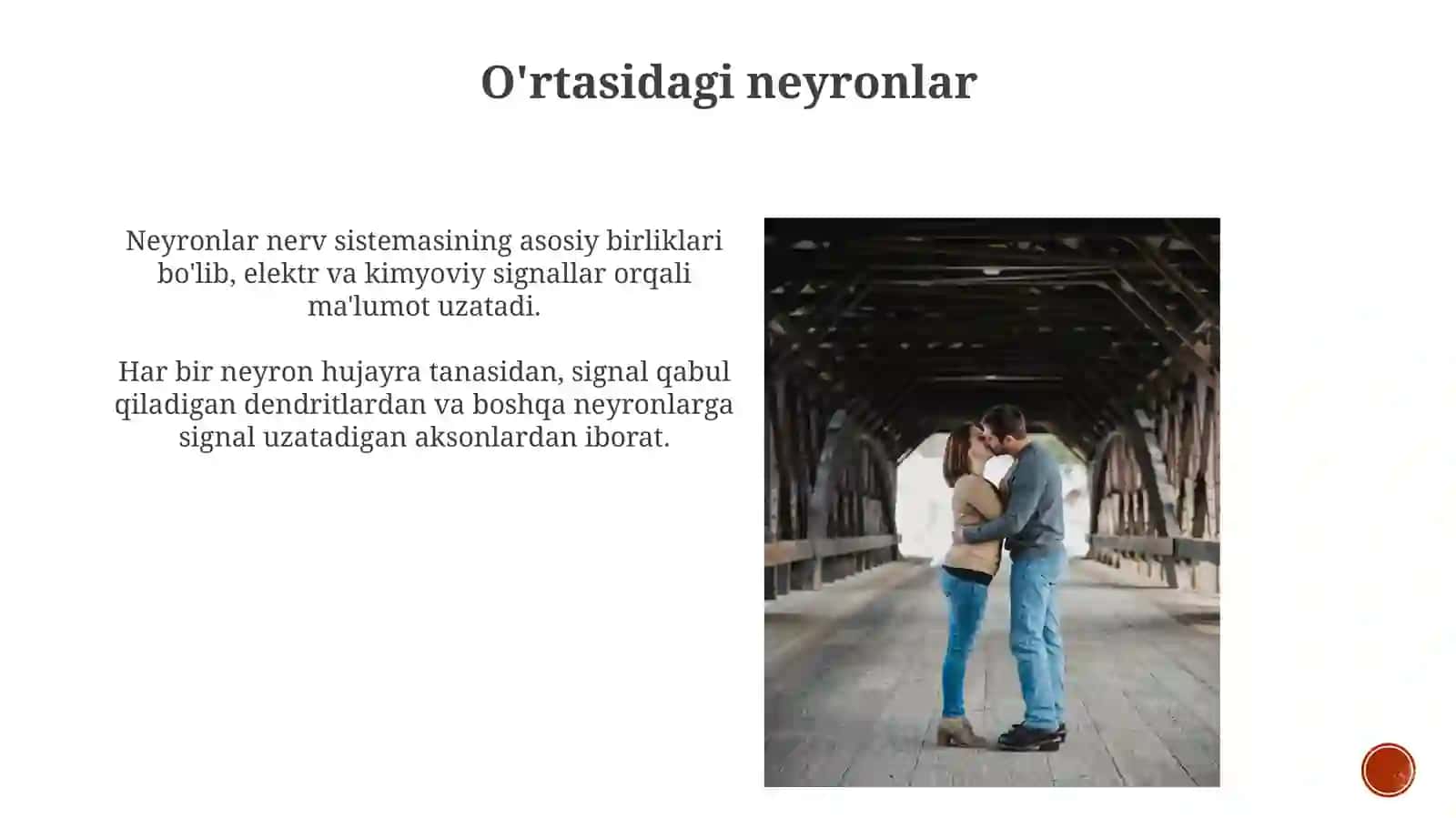 Neyronuning tuzilishi va funksiyalari 3