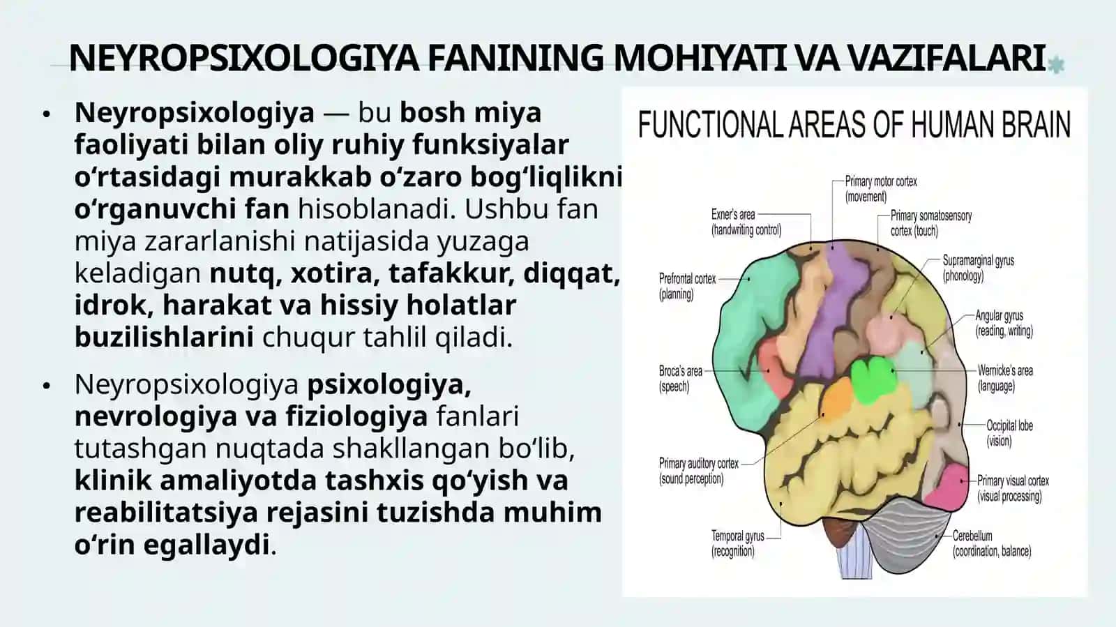 Neyropsixologiksindromlarvaneyropsixologiktashxislashningumumiytamoyillari 3