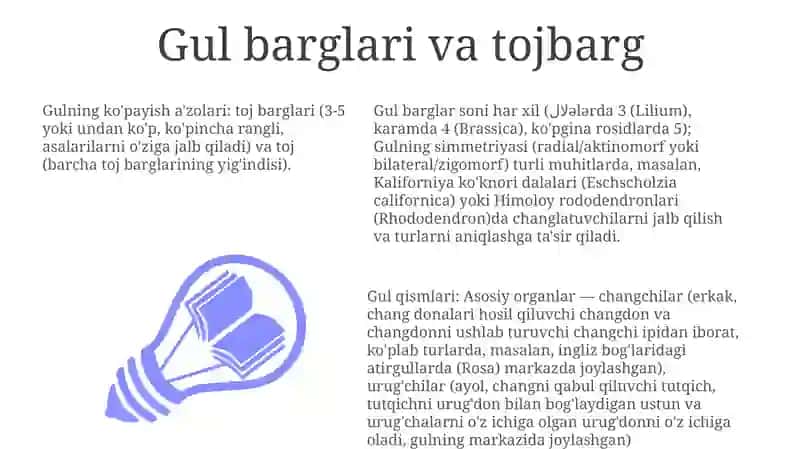 Gul qismlari 3