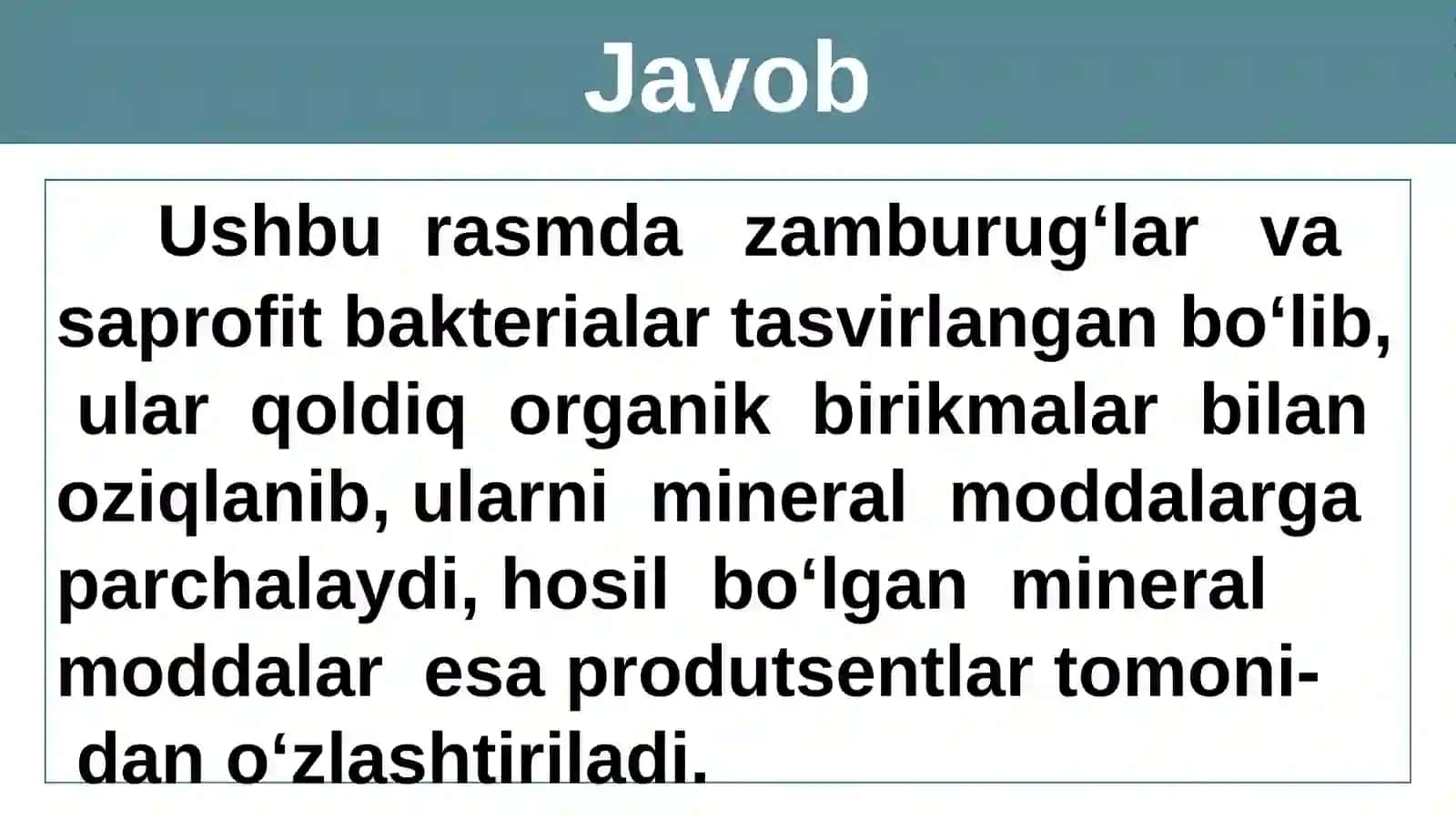 Tirik organizmlarning yashash muhiti. Suv muhiti 3