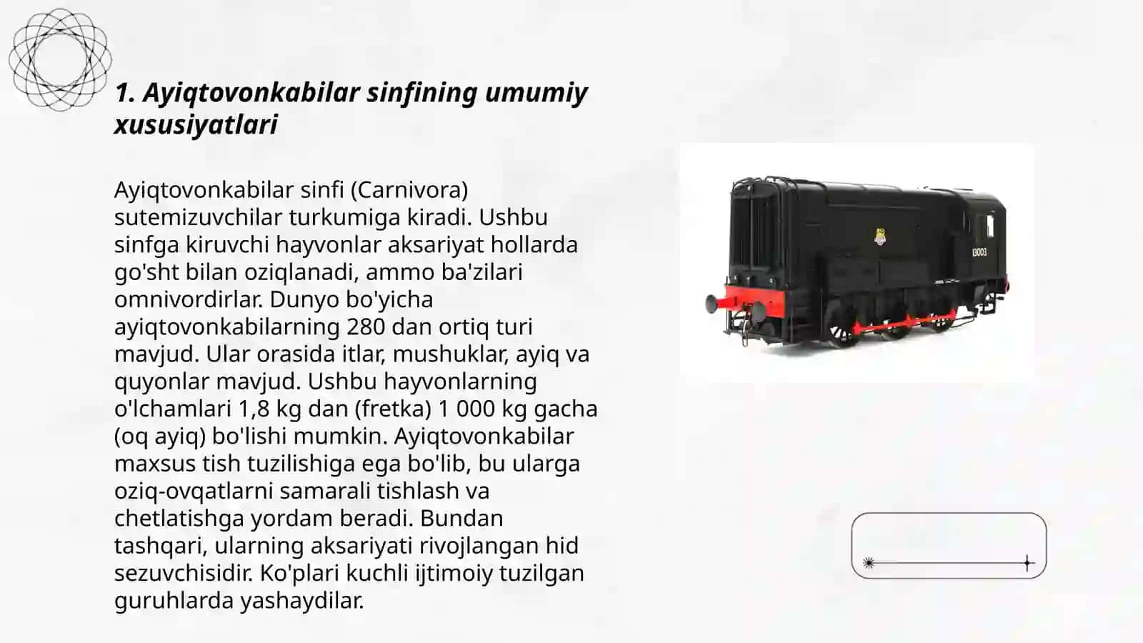 Ayiqtovonkabilar sinfchasi 3